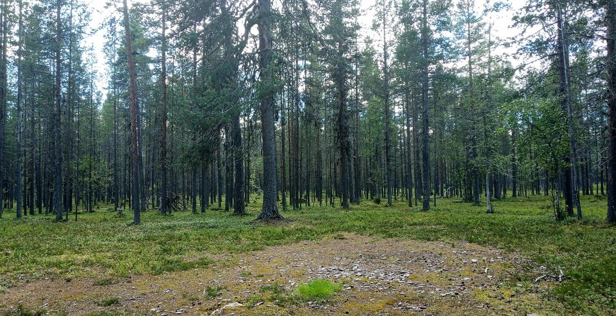 Kuukkeli Apartments Vuotso Bagian luar foto